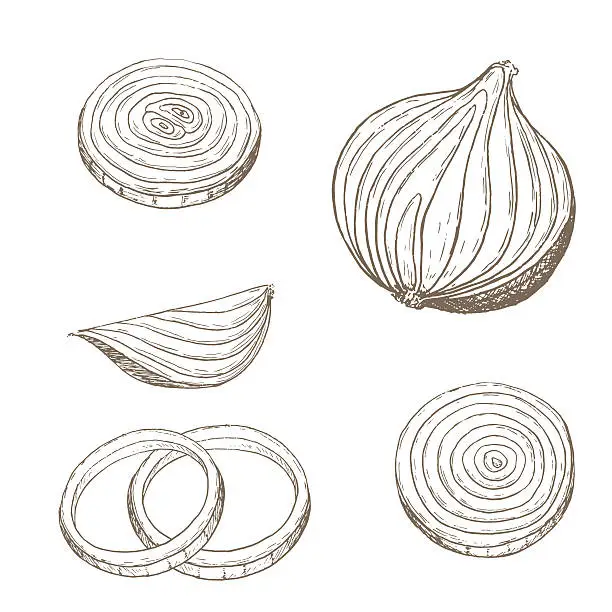 Vector illustration of Onion  rings set