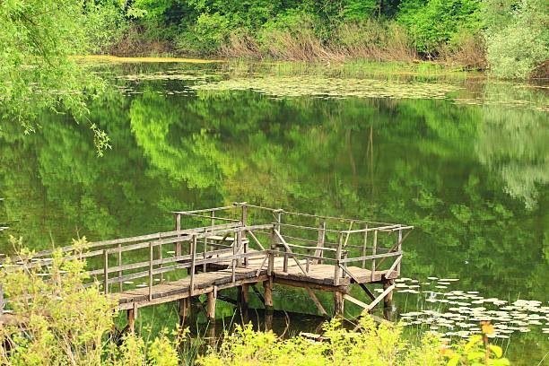 istock Fishing place on the lake 527043394
