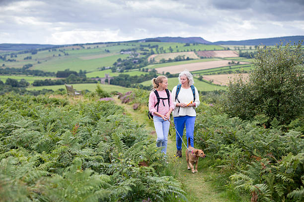 istock Walking with my Grandmother 527045742