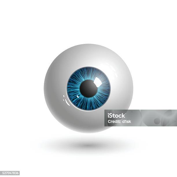 Realistic Human Eyeball Stock Illustration - Download Image Now - Abstract, Anatomy, Art
