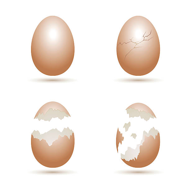 ブラウンの卵、クラック効果 - eggs cracked opening fragile点のイラスト素材／クリップアート素材／マンガ素材／アイコン素材