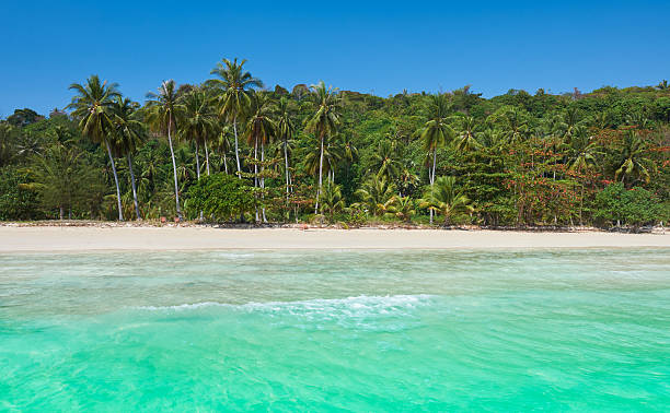 ilha de phi phi, província de krabi, tailândia. - thailand beach nautical vessel phuket province imagens e fotografias de stock