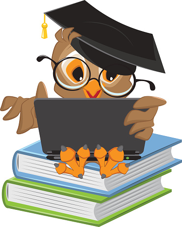 Owl sitting on books and holding a laptop. Illustration in vector format