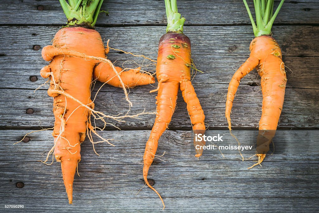 Hässlich Karotten auf Scheune Holz - Lizenzfrei Möhre Stock-Foto