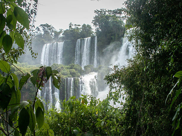 istock Iguazu Falls Cascade Through Foliage 527050655