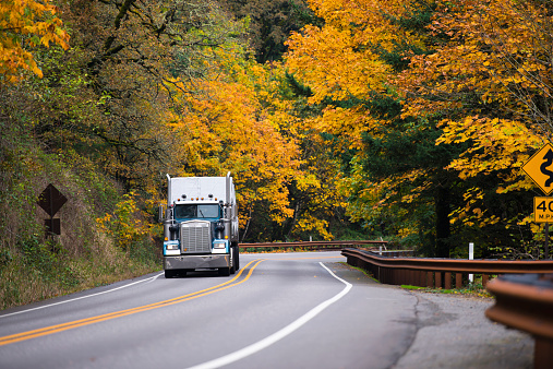 Large cool classic semi truck with chrome accents and high tailpipes and a trailer on a scenic road with twists, metal fencing and a dividing strip on the background wall of bright autumn trees.