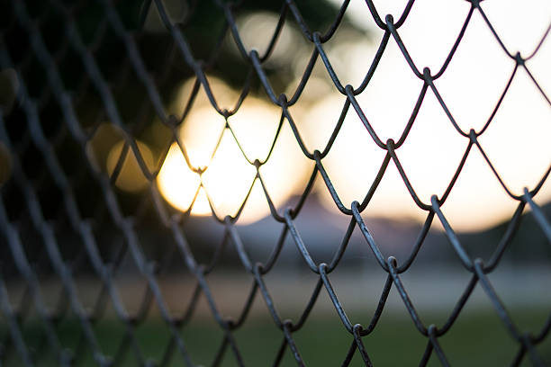 istock Fence with green and yellow bokeh. 527054955