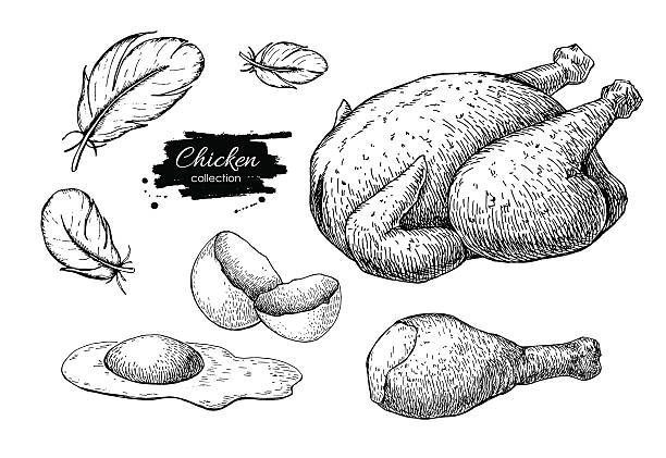 illustrazioni stock, clip art, cartoni animati e icone di tendenza di vettoriale di pollo agricoltura prodotti disegni. intero al forno con c - pollo