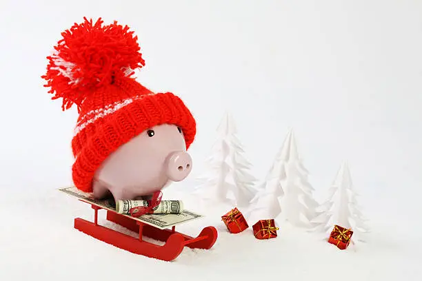 Photo of Piggy bank standing on sled with blanket from greenback