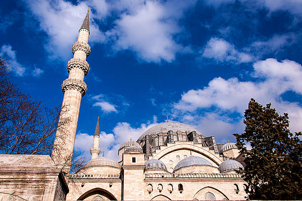mosquée süleymaniye - istanbul surrounding wall suleymanie mosque turkey photos et images de collection