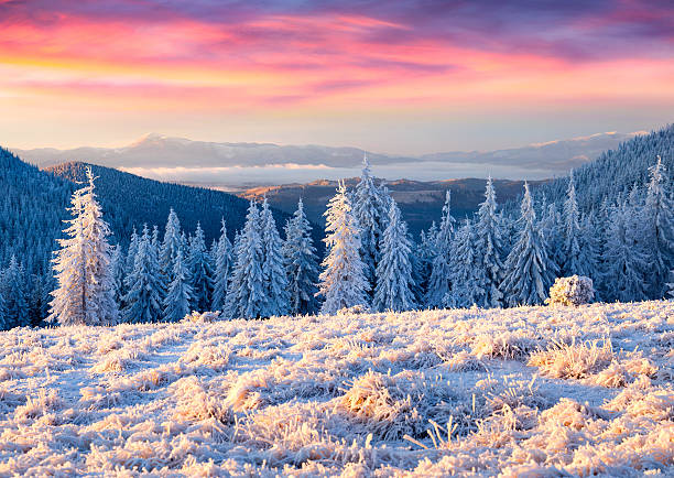 istock Beautiful winter sunrise in the mountains 527068961