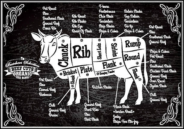 ilustraciones, imágenes clip art, dibujos animados e iconos de stock de cartel con diagrama detallada las vacas de corte - ground chuck