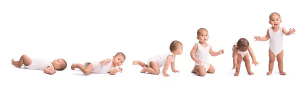 Baby development stages - baby laying, rolling over, crawling, sitting, and finally standing. Isolated on white background, cut out image with copy space.