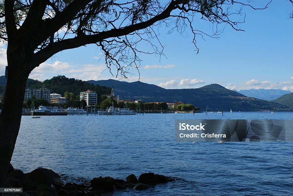 Lago Maggiore - Foto stock royalty-free di Albero