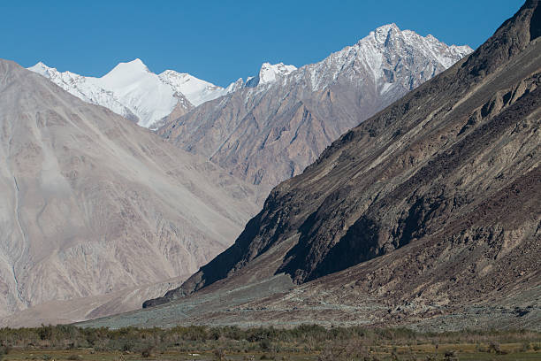 istock Nubra valley in Himalayas, Hunder, Ladakh, India 527072093