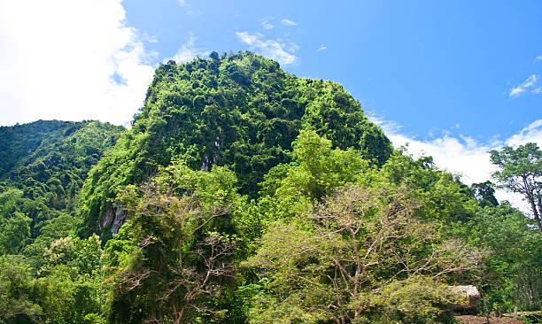 istock Hills in northern Laos 527072955