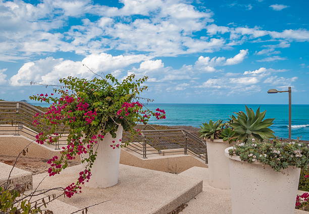 istock Embankment in Netanya 527073163