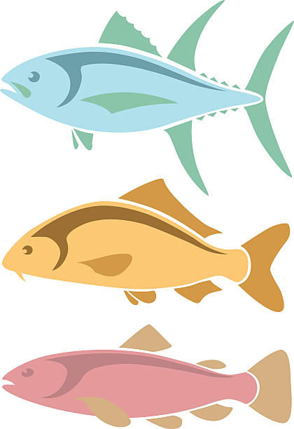 ilustrações de stock, clip art, desenhos animados e ícones de ícones de atum, carpa, truta - trout fishing silhouette salmon