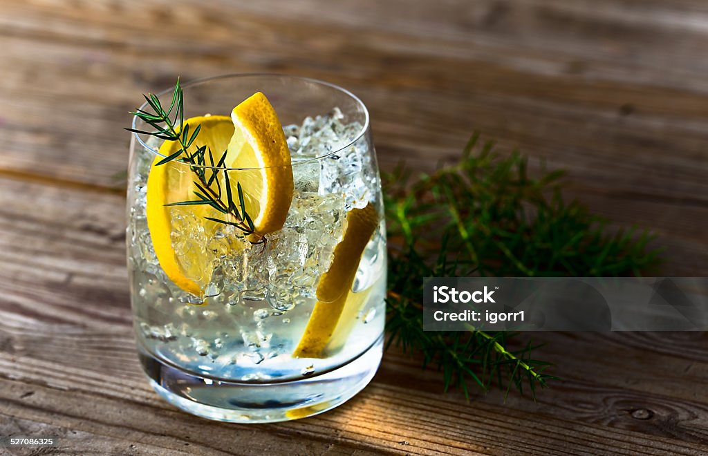 Gin, de citron et de glace - Photo de Gin libre de droits
