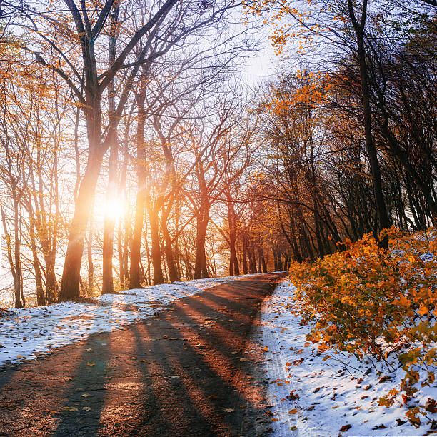 istock winding road in autumn landscape 527086733