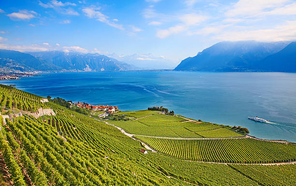 Lavaux region Vineyards of the Lavaux region over lake Leman (lake of Geneva) montreux photos stock pictures, royalty-free photos & images
