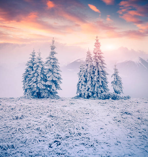 istock Beautiful winter sunrise in the mountains 527088441