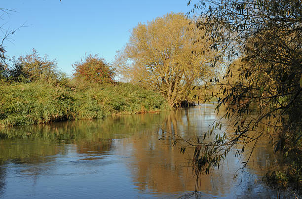 отражение на реку avon на welford, уорикшир, англия, великобритания - welford on avon стоковые фото и изображения