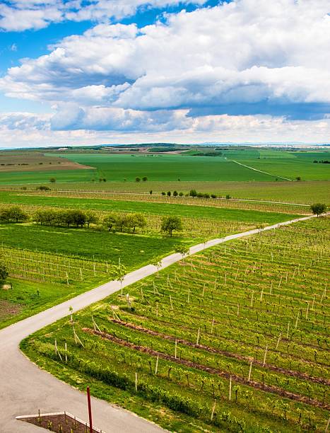 istock Countryside of southern Moravia 527088671