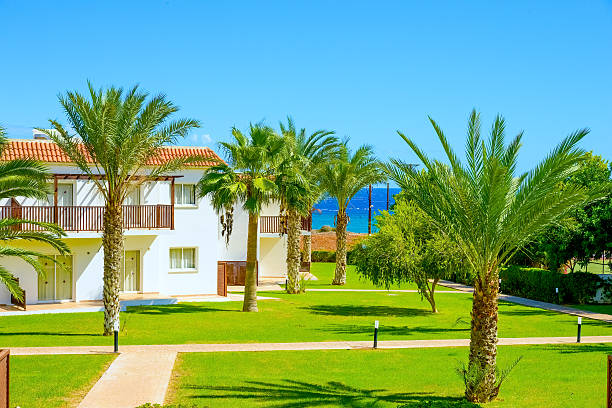 istock building green palm plant 527089857