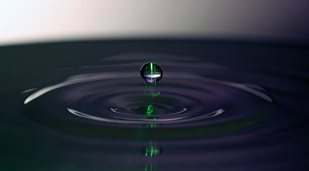 istock violet small drop of water 527093941