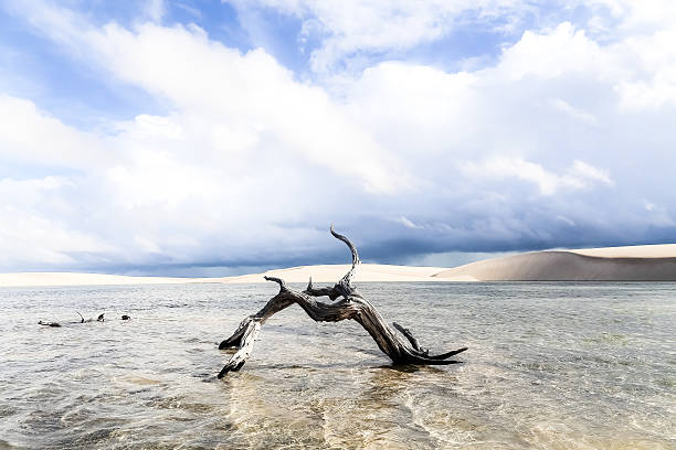 istock Lencois Maranhenses National Park 527111815