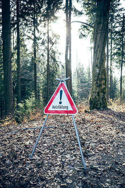 istock German road sign in the forest 527112483