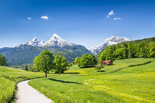 istock Idyllic summer landscape in the Alps 527114139