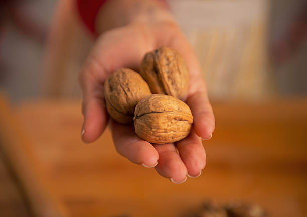 istock young housewife showing walnuts 527115923