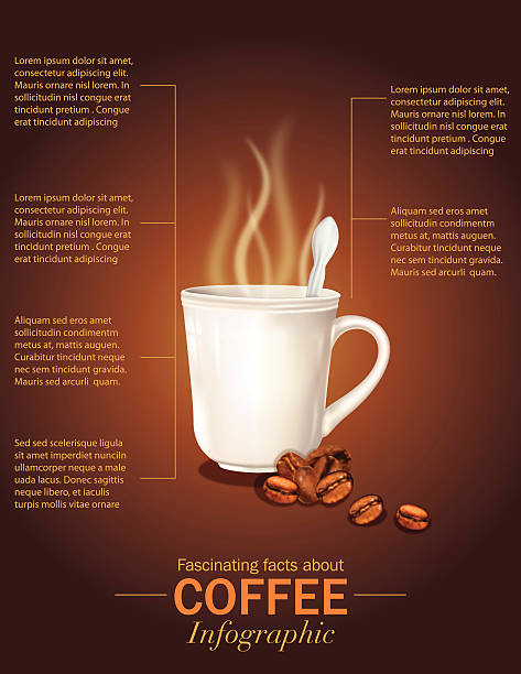 コーヒー、マグと豆のインフォグラフィック - coffee cup coffee cup coffee bean点のイラスト素材／クリップアート素材／マンガ素材／アイコン素材