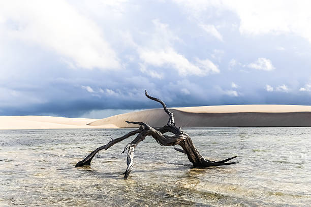Lencois Maranhenses National Park