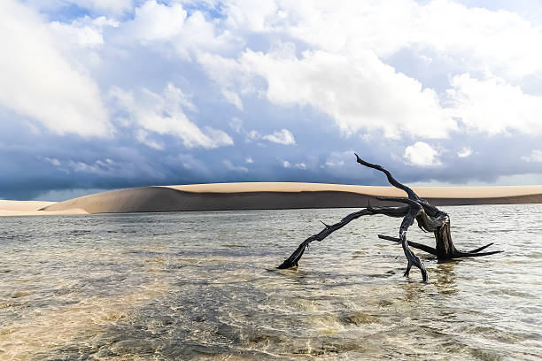 istock Lencois Maranhenses National Park 527116879