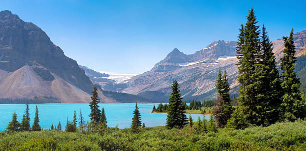 parco nazionale di banff, ad alberta, in canada - lake louise national park landscape forest foto e immagini stock