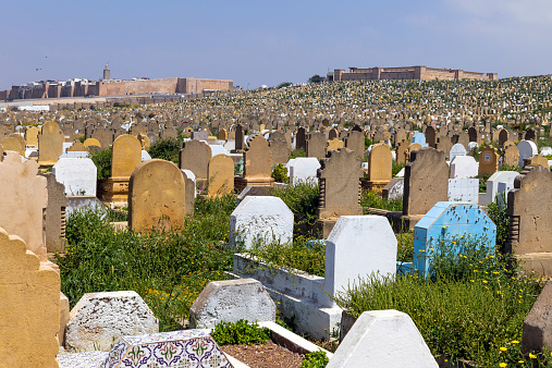 Muslim cemetery in Rabat Morocco, North Africa, Nikon D3x