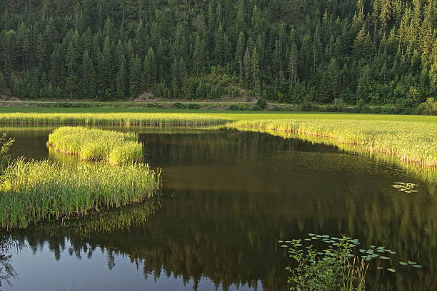 Northern Idaho's Panhandle Zone.