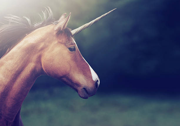 From a fairy tale Shot of a beautiful unicorn horned stock pictures, royalty-free photos & images