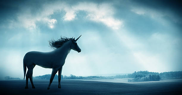 Believe the unbelievable Shot of a beautiful unicorn against against a dramatic landscape unicorn stock pictures, royalty-free photos & images