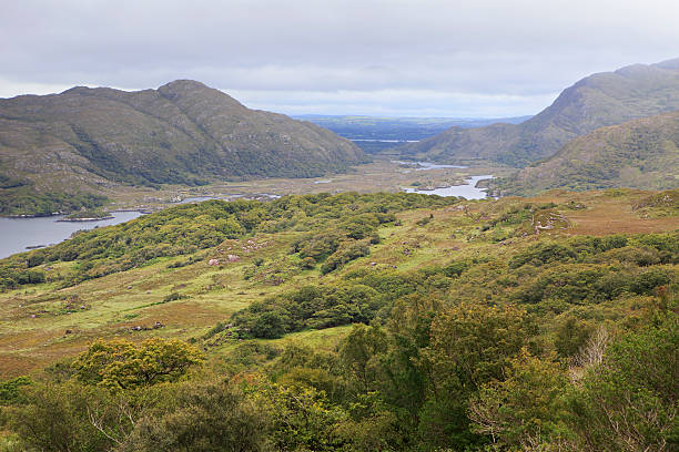 istock Beautiful landscape of Ladies View in Killarney National Park. 527137607