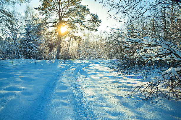 istock rural winter landscape with sunset, the forest 527138423