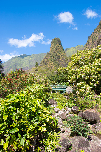 The needle in Iao Valley State Park