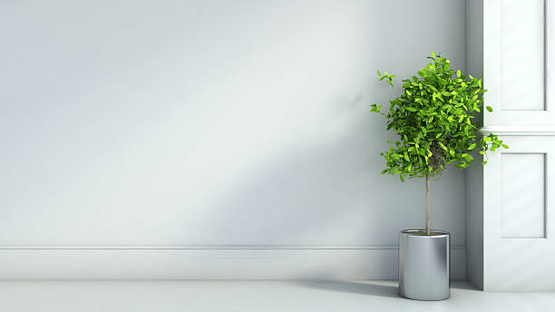 istock gray interior in classic style with plant. 3D illustration 527139791