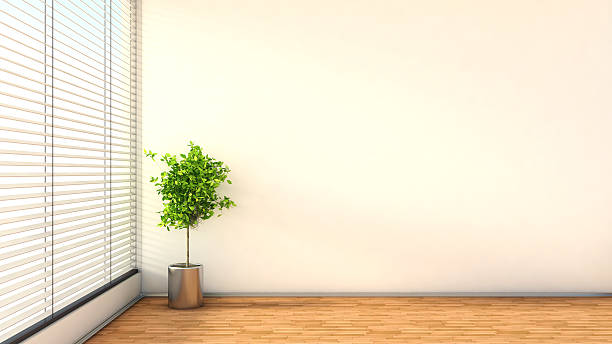 istock interior with plant and blinds. 3D illustration 527139797