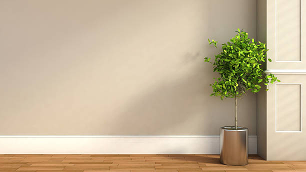 istock interior in classic style with plant. 3D illustration 527139821
