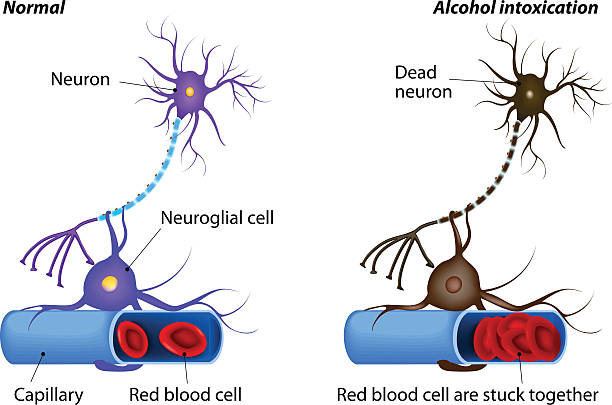 神経損傷により発生した重アルコール中毒 - activity axon biology biomedical illustration点のイラスト素材／クリップアート素材／マンガ素材／アイコン素材