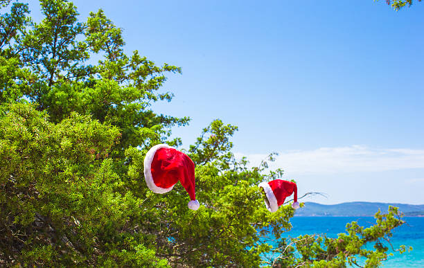 istock Red christmas hat on on branch background turquoise sea 527171551